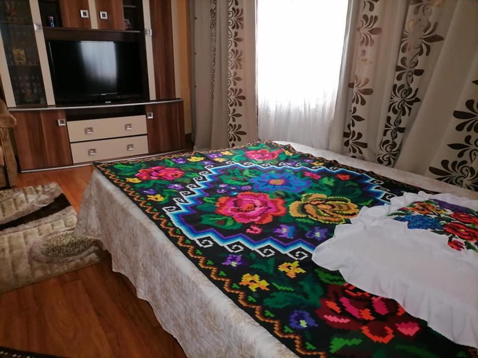 Pensiunea Brezu سيغيتو مارماتيي المظهر الخارجي الصورة